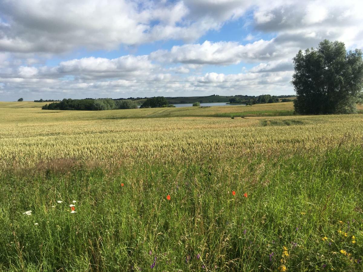 Affittacamere Nussbaumhof Mit Koppel Plath Esterno foto