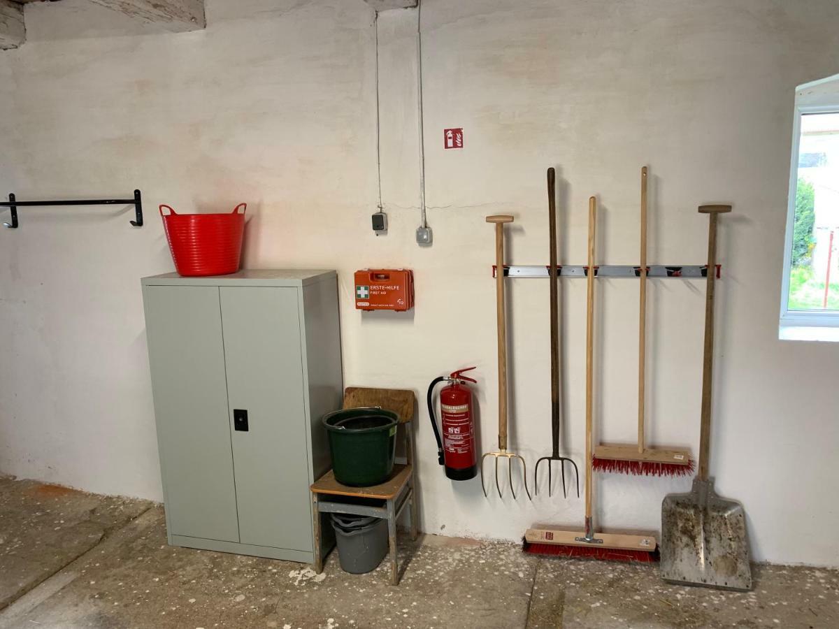Affittacamere Nussbaumhof Mit Koppel Plath Esterno foto