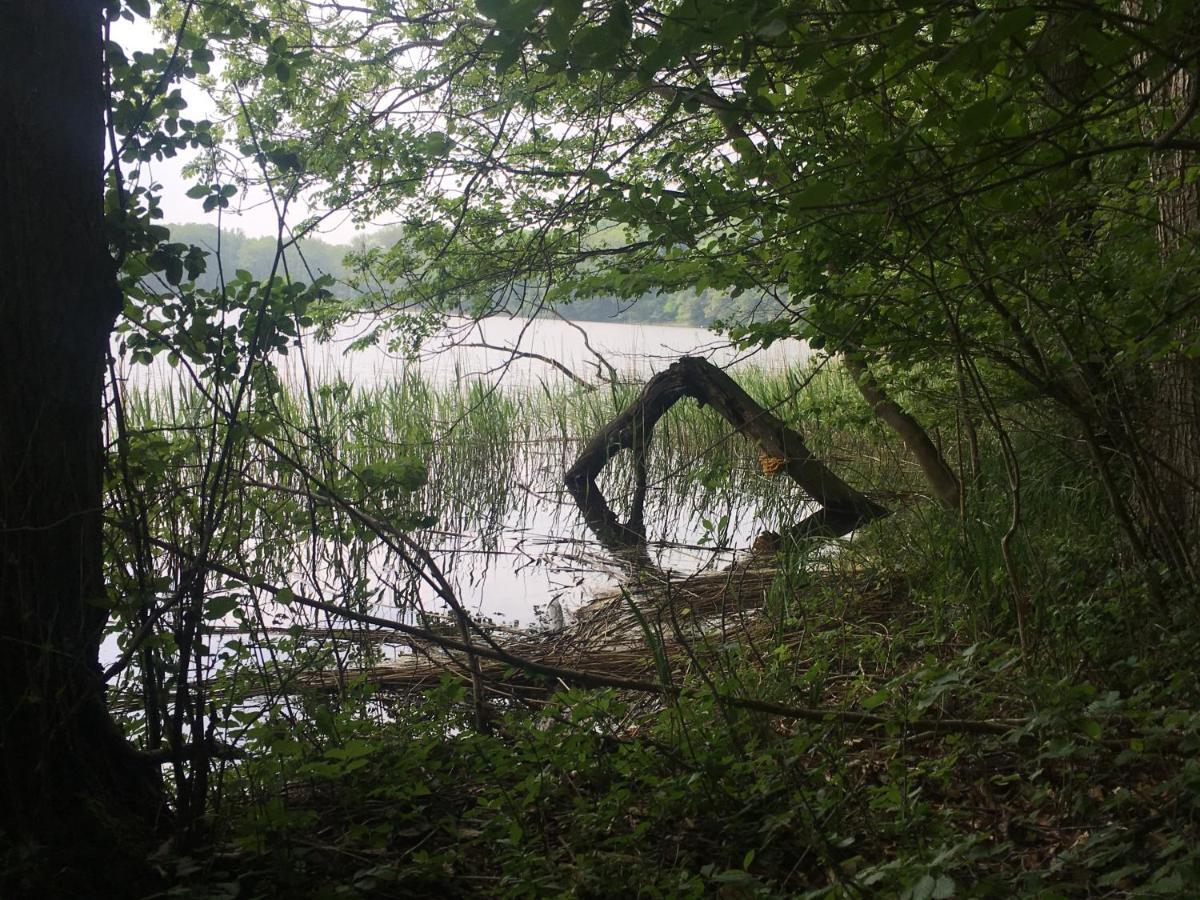 Affittacamere Nussbaumhof Mit Koppel Plath Esterno foto