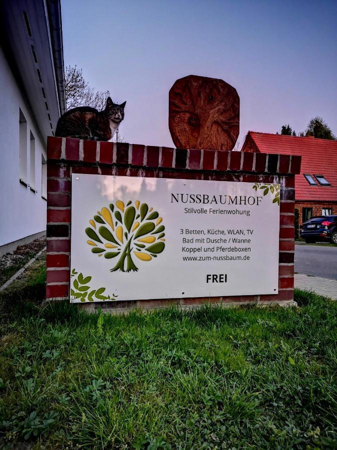 Affittacamere Nussbaumhof Mit Koppel Plath Esterno foto